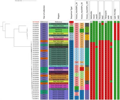 Whole genome sequence-based analysis of Staphylococcus aureus isolated from bovine mastitis in Thuringia, Germany